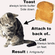 Image for article titled Cat+Toast=Anti-Gravity